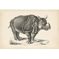thumbnail image 2 of Brodtmann  24x17 Black Ornate Wood Framed with Double Matting Museum Art Print Titled - Brodtmann Rhinoceros, 2 of 4