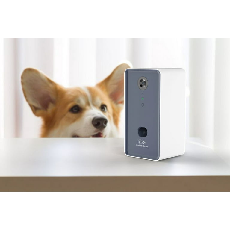 Owlet 5ghz sale