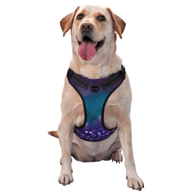 Fotbe Purple and Green Glitter Arnés para Perro con Estampado –Chaleco Ajustable Acolchado con Asa de Control para Perros Grandes-Large