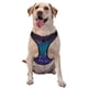 thumbnail image 1 of Fotbe Purple and Green Glitter Arnés para Perro con Estampado –Chaleco Ajustable Acolchado con Asa de Control para Perros Grandes-Large, 1 of 6
