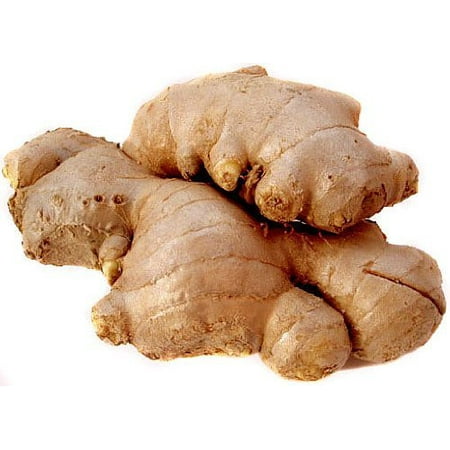Fresh Ginger Root / Adrak - 1lb (Best Way To Keep Ginger Root)