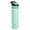 Mint Green, variant on TAL Stainless Steel Ranger Water Bottle 26oz, Black