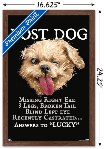 Jim Baldwin - Lost Dog Wall Poster, 14.725" x 22.375" Framed