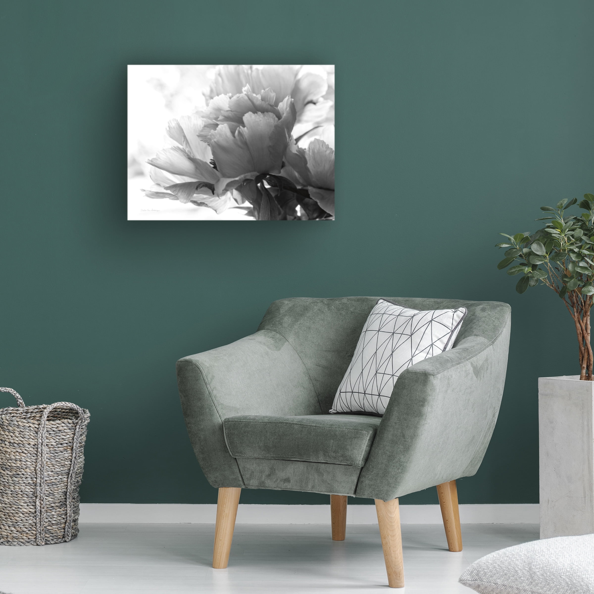 Debra Van Swearingen 'Translucent Peony IBW' Canvas Art