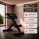 thumbnail image 3 of Silla Romana Hiperextensiones CENTURFIT Plegable aparato para Abdominales Entrenamiento Ejercicio en Casa, 3 of 5