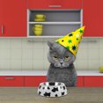 thumbnail image 1 of KAKOWELY Comedero Dual Para Mascotas Con Platos De Inoxidable Y Base Para Reducir Ruido, 1 of 8