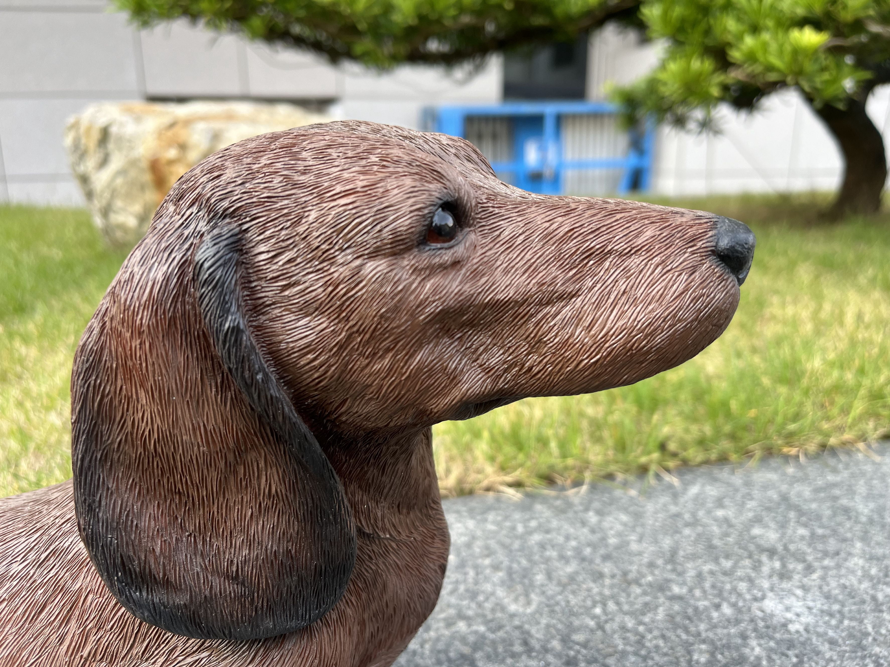 Dachshund Brown (Hi-Line Exclusive)