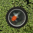 thumbnail image 1 of BESTYASH Compact Fish Dome Floating Cover Acrylic Fish Dome 1Set for Outdoor Use, 1 of 8