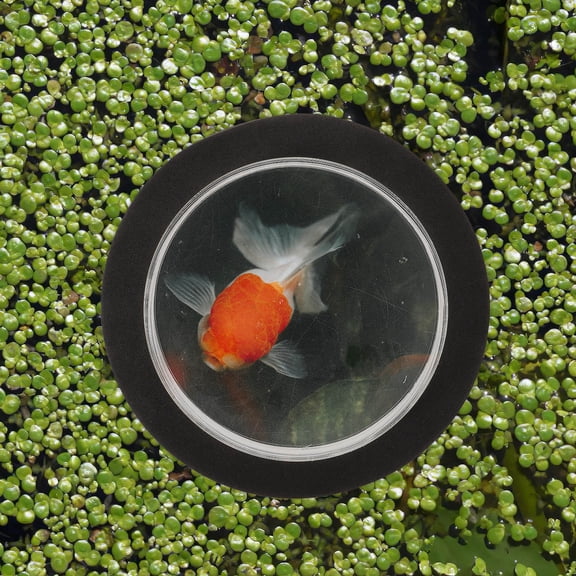 DEEPCRAFF Black Acrylic Floating Fish Dome Cover for Outdoor Garden Ponds and Aquariums, Protective Lid