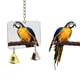 thumbnail image 1 of Juguetes de Campana Colgante de Espejo para Pequeños Loros Salvador Espejo de pájaro, 1 of 8