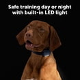 thumbnail image 3 of Collar de adiestramiento extra para perro PetSafe Core, resistente al agua, con LED, 3 of 8