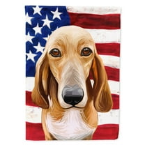 Carolines Treasures CK6693CHF Schweizer Laufhund Dog American Canvas House Size outdoor-flags, Multicolor