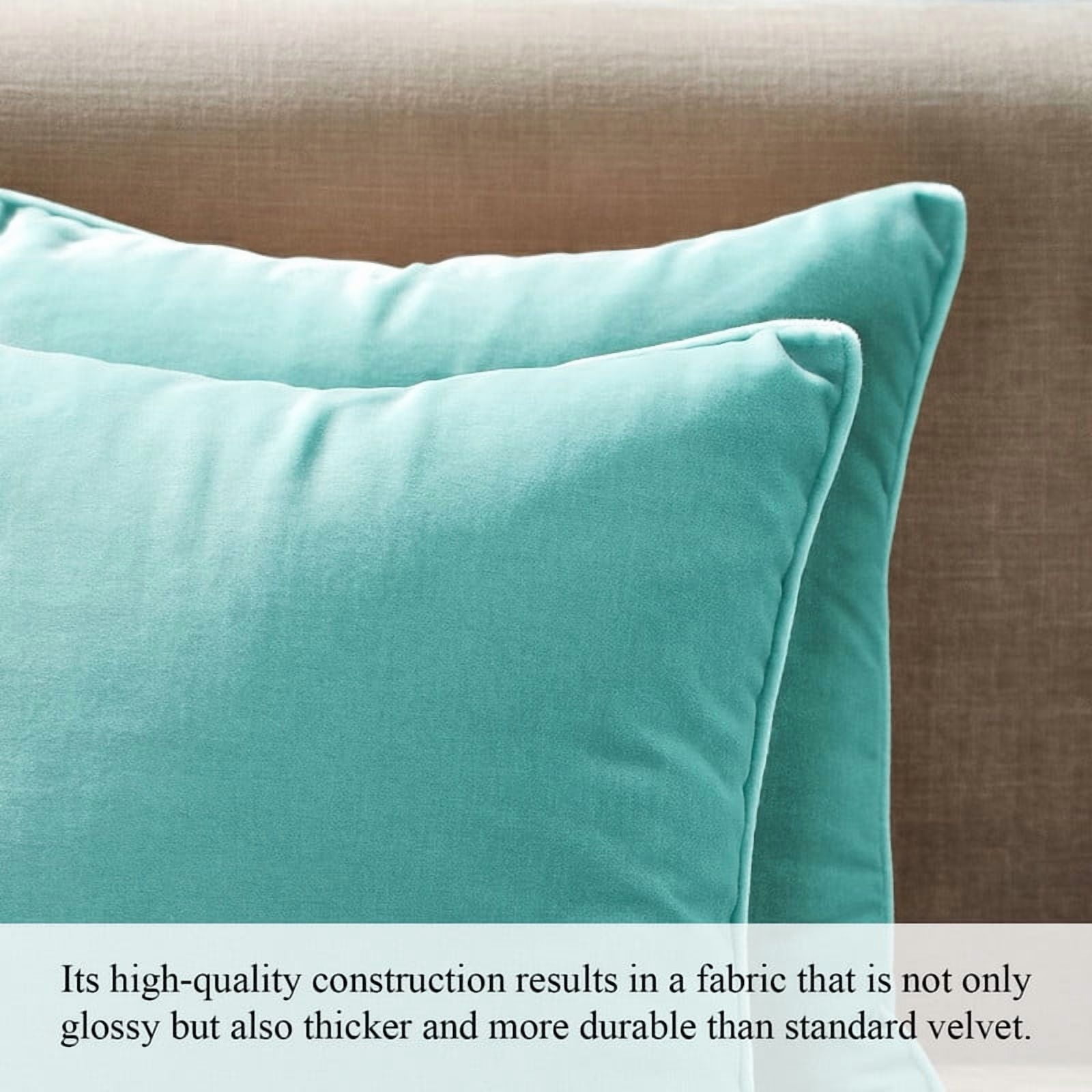 A1HC Set of 2 Luxurious Soft Velvet Throw Pillow Covers Only, 24"x24", Aqua Blue, Decorative Cushion Covers with Hidden YKK Zipper for Sofa or Bed