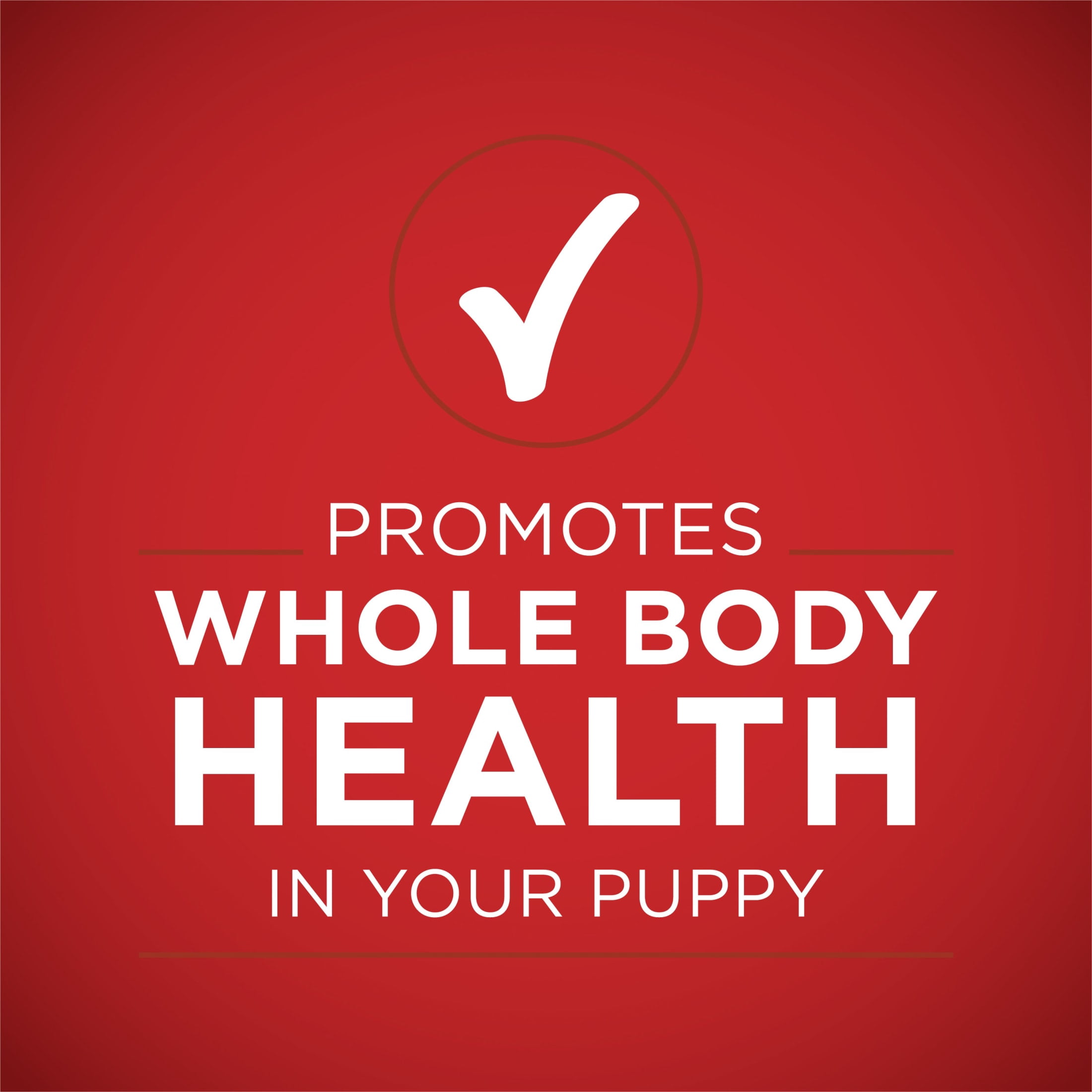Purina ONE PLUS Wet Puppy Food, High Protein Soft Lamb & Long Grain Rice, 13 oz Can