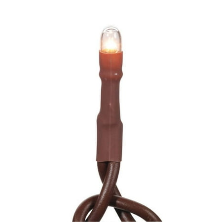 Deco Lights Brown Light Strand with Clear Bulbs, 26 feet