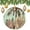 pattern-1843, variant on Surfboard on The Summer Beach Christmas Ornaments Exotic Summer Vacation Sport Vintage Style Custom 3" Ceramic 2024 Xmas Ornament Christmas Tree Gifts Gift Ideas for Home Decor