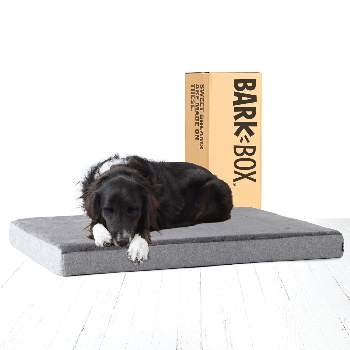Barkbox Memory Foam Platform Dog Bed - Large - Walmart.com - Walmart.com