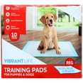 thumbnail image 1 of Vibrant Life Dog Pee Pads and Puppy Training Pads, L (56*56cm), 1 of 5