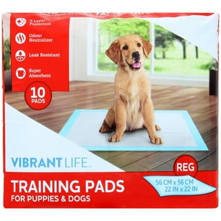 Potty Training Pads for Dogs: Hassle-Free Housebreaking