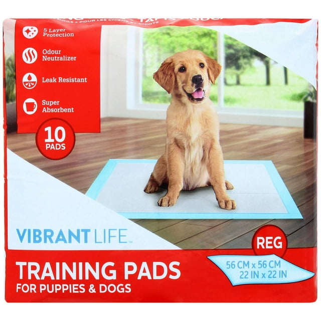 Vibrant Life Dog Pee Pads and Puppy Training Pads – 'L (56*56cm)' package showing a golden retriever puppy sitting on a blue-bordered training pad on a wooden floor in a bright room, highlighting 5 layer protection, odour neutralizer, leak resistance, and super absorbent features, containing 10 pads sized 56 cm by 56 cm (22 in by 22 in) suitable for potty training puppies and dogs.