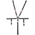 thumbnail image 1 of Camlock 5-Point Junior Racing Harnesses, Black, 1 of 1