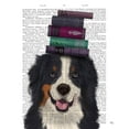 thumbnail image 2 of Fab Funky 20x24 White Modern Wood Framed Museum Art Print Titled - Bernese and Books, 2 of 4