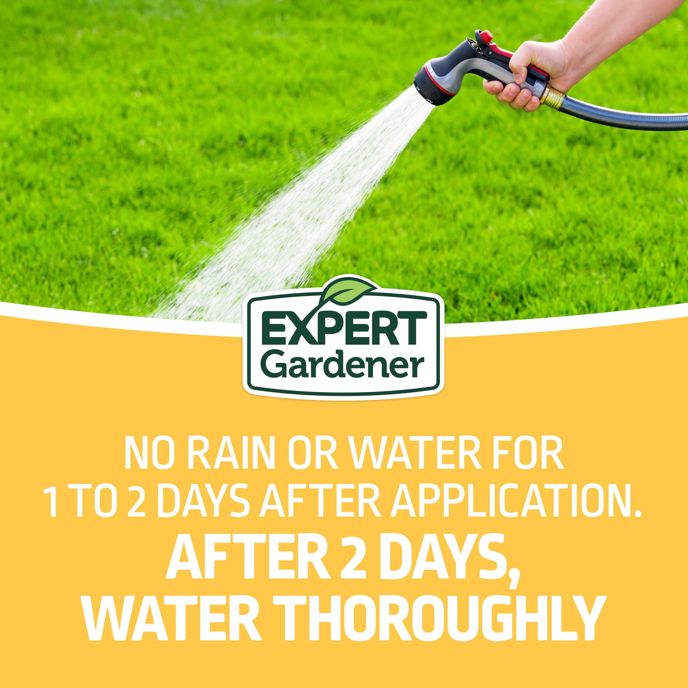 (2 pack) Expert Gardener Weed and Feed Fertilizer Ready to Spray 32 oz.