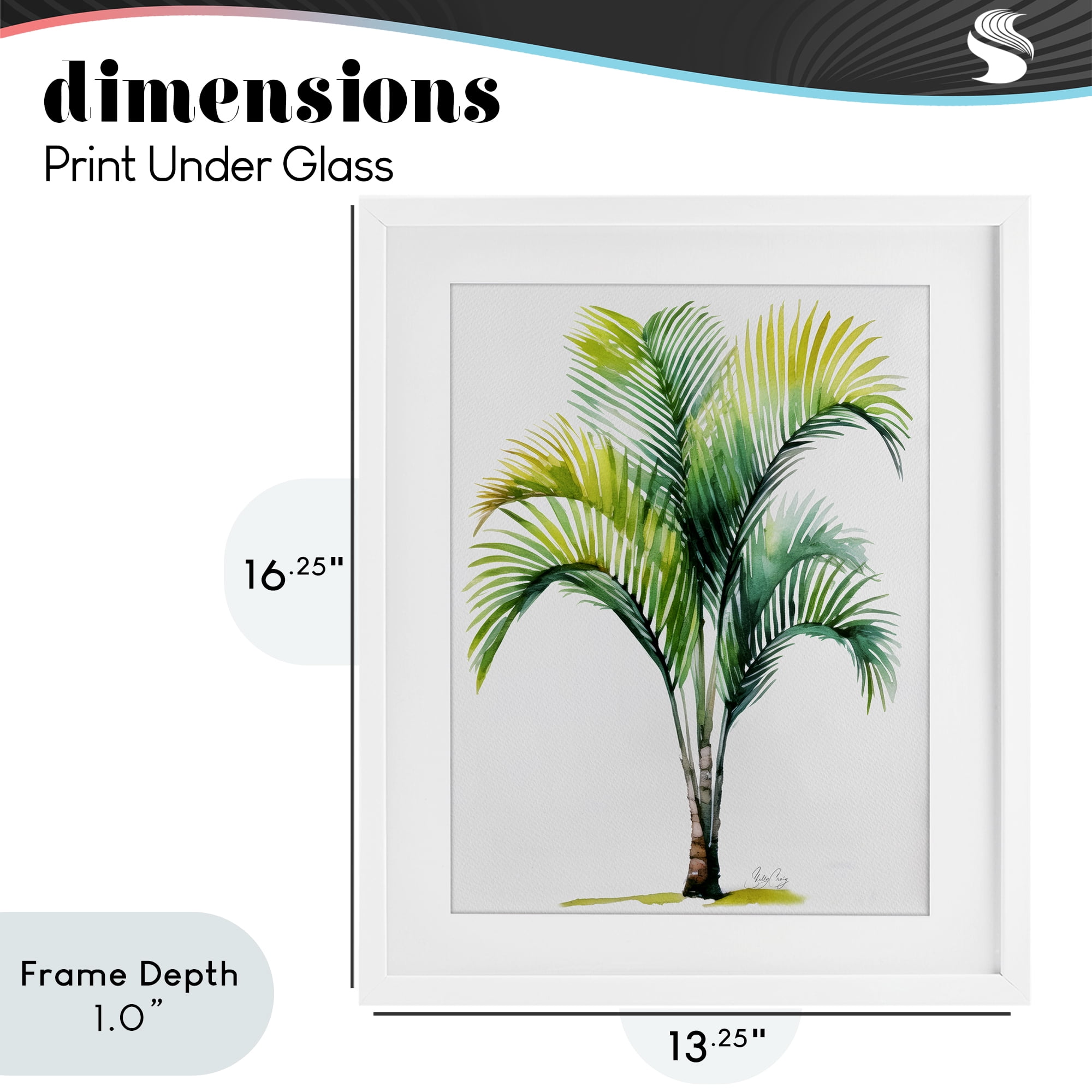Stupell Industries Coastal Canopy Palm Tree White Framed Print Under Glass, design by Shelly Craig