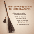 thumbnail image 2 of Cinnamon Brooms 36" and 6"  Cinnamon Broomstick Scented Combo Mini Broom & Large Broom, 2 of 5