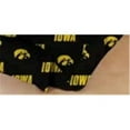 thumbnail image 1 of Comfy Feet IOWDRQU Iowa Printed Dust Ruffle Queen, 1 of 4