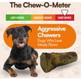 thumbnail image 4 of The Treat Shack Large Beef Marrow Filled Bone Dog Chew Treat, 3CT, 4 of 8