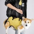 thumbnail image 5 of Rehabilitative Dog Slings Vests Adjustable Strap Lift Harness Shockproof Chest Support For Elderly Pet Outdoor Use, 5 of 9