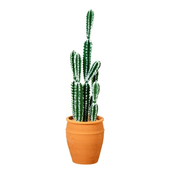 Nearly Natural 41in. Artificial Cactus in Terracotta Planter