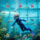 thumbnail image 5 of LLDYYDS - Anillos de buceo para piscina (28 unidades), diseño de tesoros submarinos, bandidos torpedos, peces y divertidos juguetes acuáticos., 5 of 6