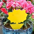thumbnail image 5 of Ludlz Sticky Traps, 20Pcs Flying Gnat Catcher Insect Dual Sided Yellow Sticky Trap Indoor Outdoor , Gnat Killer for Fungus Gnat, Fruit Fly and Other Insects, Protect The Plant, 5 of 7