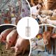 thumbnail image 4 of Herramienta para eliminar el pelo de animales de granja | Removedor de pelo de cerdos y raspador de pelo de ganado | Accesorio para taladro eléctrico para un aseo eficiente, 4 of 8