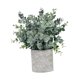 thumbnail image 3 of Plantas artificiales pequeñas en maceta, plantas de imitación en maceta, vegetación decorativa, simulación Hierba de hoja redonda, 3 of 9