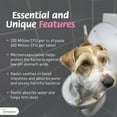 thumbnail image 7 of Vetoquinol Pro-Pectalin Anti-Diarrheal Gel for Dogs and Cats 15mL or 30mL, 7 of 7