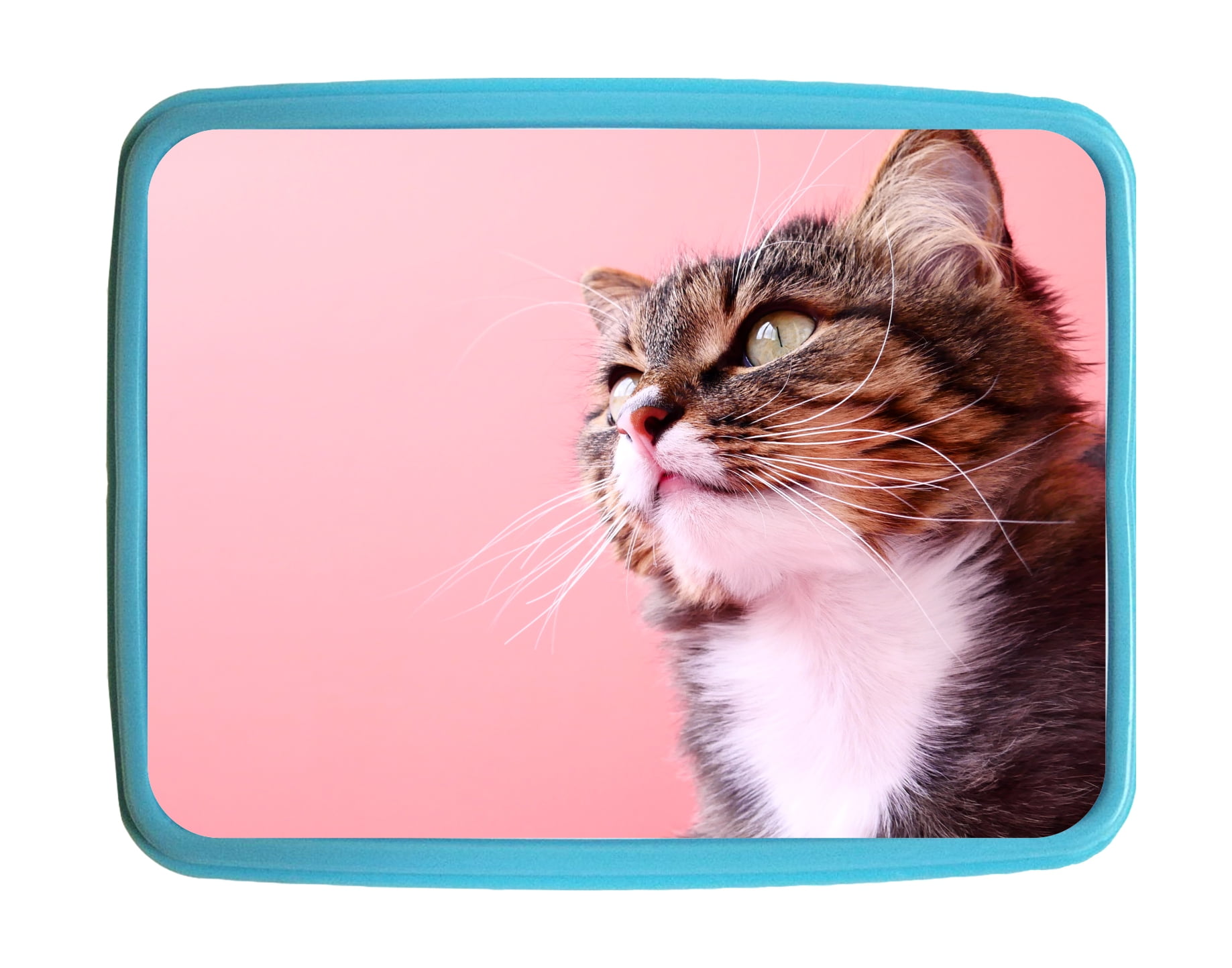 cat-kitten-on-pink-kids-bento-lunch-box-with-3-compartment-food