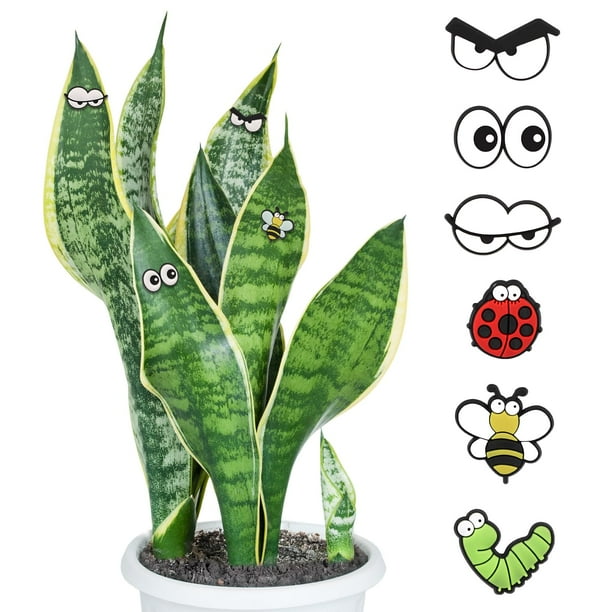 6 imanes de plantas con ojos para plantas en maceta, lindos accesorios para plantas de interior, divertidos imanes para plantas, decoración de imanes de plantas, ojos y pines
