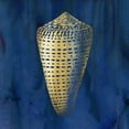 thumbnail image 3 of Robinson, Carol 20x20 Black Modern Framed Museum Art Print Titled - Indigo Sea Treasure II, 3 of 5
