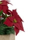 Northlight 13.5" Poinsettia Rouge avec des Pommes de Pin Arrangement Floral Artificiel de Noël – image 4 sur 4