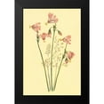 thumbnail image 2 of PI Collection 17x24 Black Modern Framed Museum Art Print Titled - Shooting Star, 2 of 5