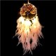 thumbnail image 1 of Decoración De Pared De Plumas Exótica Led Para Colgar En La Pared Artesanía De Plumas Decoración Bohemia Colgadores De Plumas De Pared Simples Adorno Led Bohemio Hecho A Mano Para El Dormitorio Sala Minnieouse HA026599-03, 1 of 7