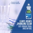 thumbnail image 3 of Seventh Generation Dish Liquid, Free & Clear, 25 FL Oz, 3 of 9