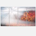 thumbnail image 2 of Soleil Brumeux dans la Forêt d'Automne Rouge - Impression sur Toile Photographie de Paysage, 2 of 3