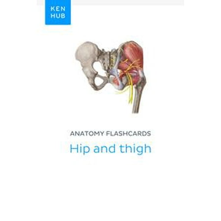 Anatomy flashcards: Hip and thigh - eBook
