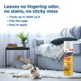 Zodiac Carpet and Upholstery Aerosol Spray