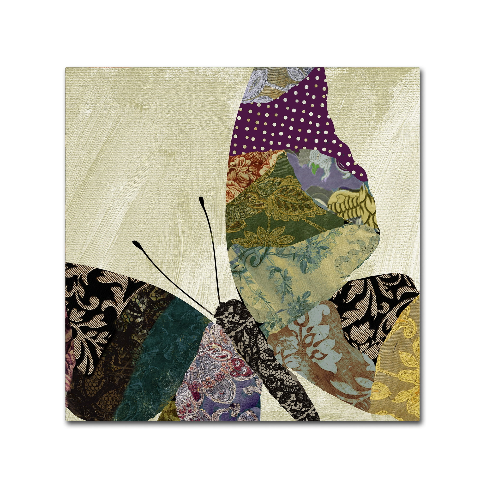 Trademark Fine Art "Butterfly Brocade I" Canvas Art by Color Bakery
