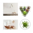thumbnail image 4 of Planta artificial simulación de flores artificiales planta suculenta fresia planta en maceta interior simulación flor decoración del hogar bonsai adornos planta verde planta de simulación (verde marrón) ILoveMilan JM, 4 of 5